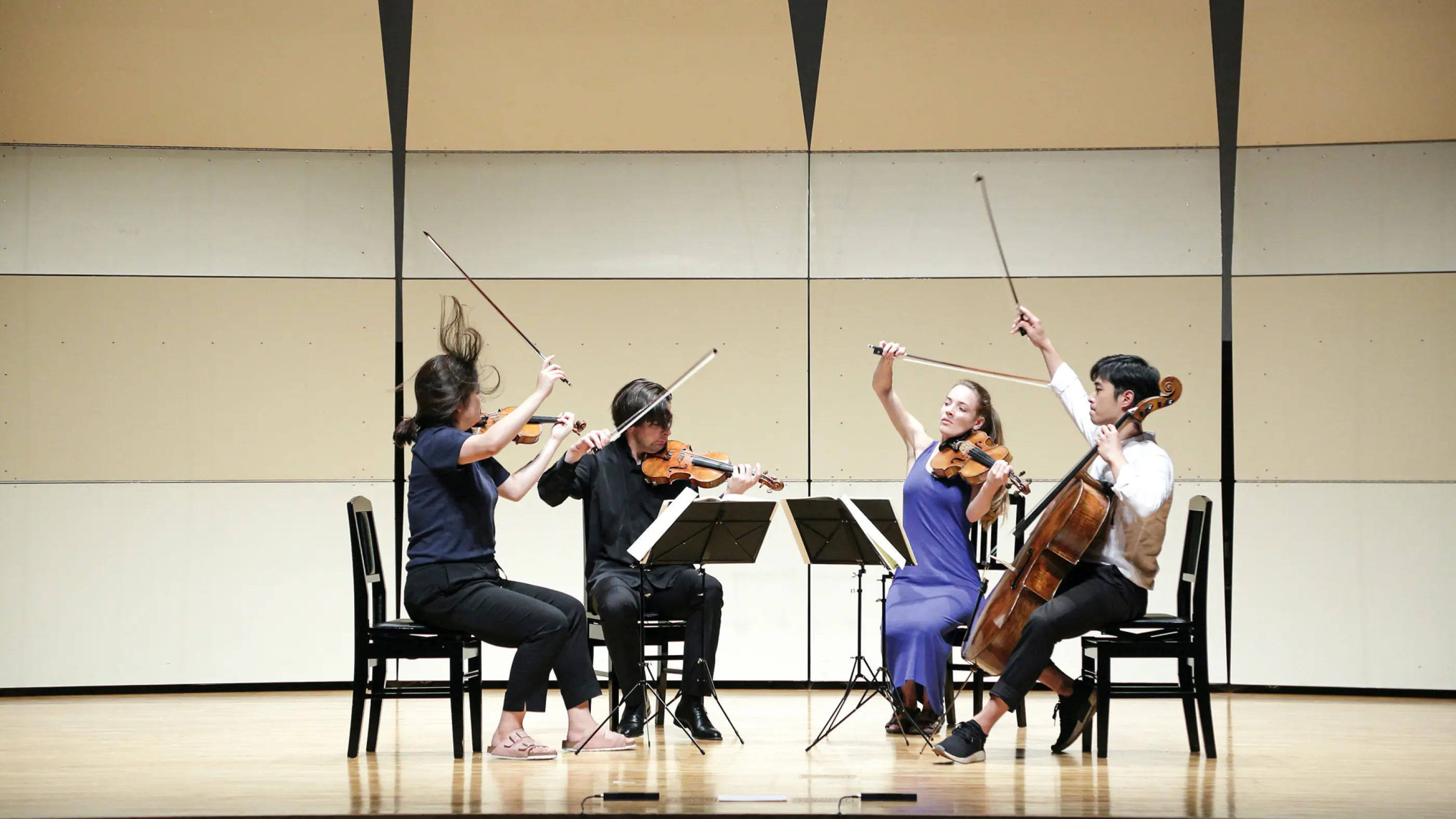 Seiji Ozawa International Academy